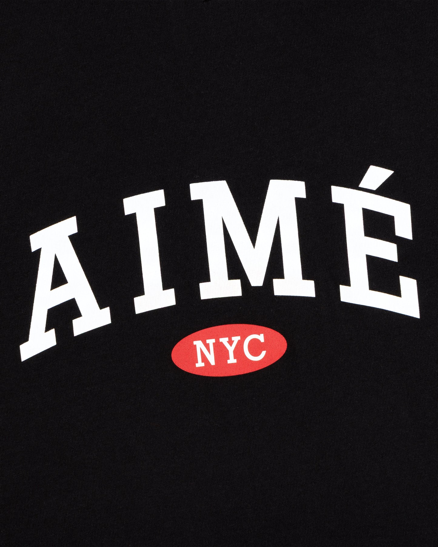 Aimé Souvenir Tee - Aimé Leon Dore Clothing
