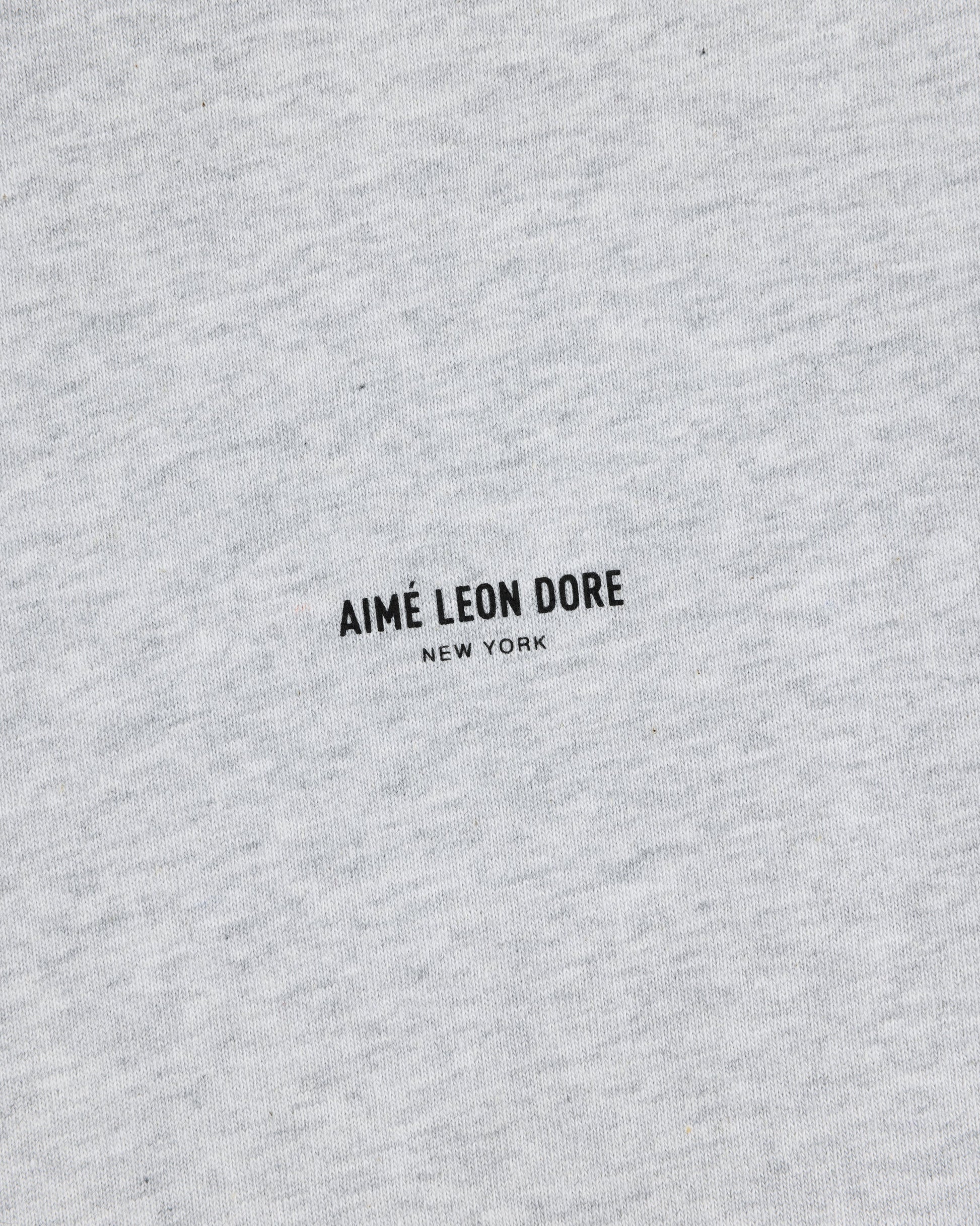 Long-Sleeve Micro Logo Tee - Aimé Leon Dore Clothing