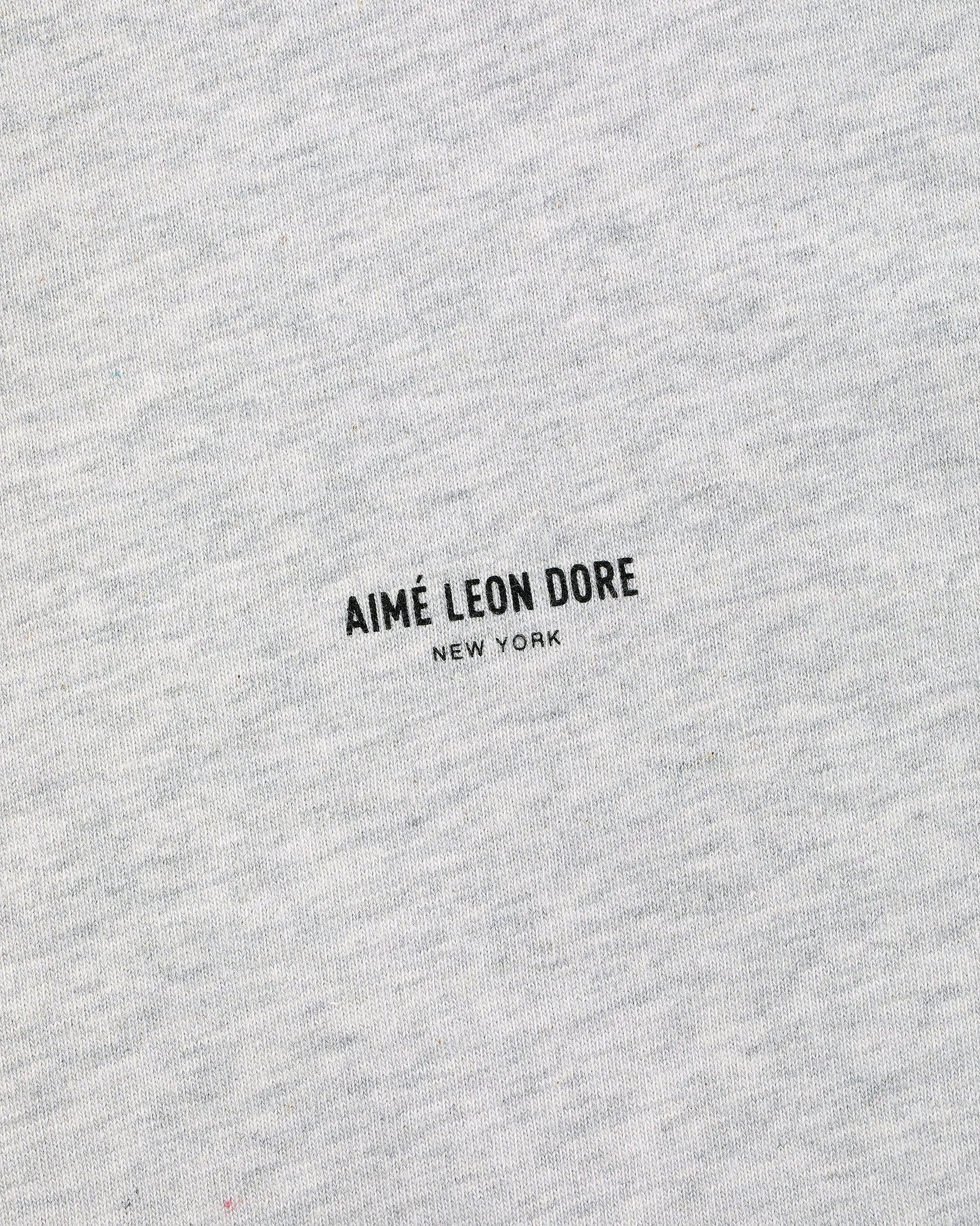 Micro Logo Tee - Aimé Leon Dore Clothing