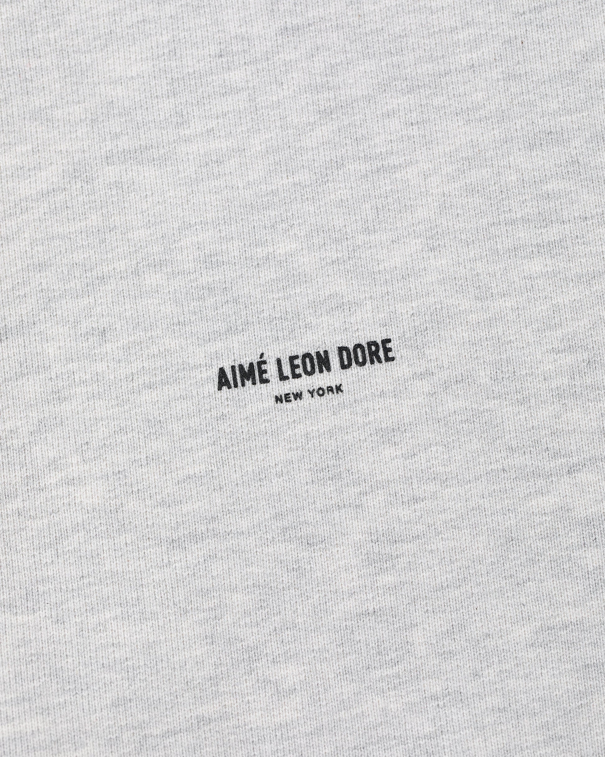 Micro Logo Hoodie - Aimé Leon Dore Clothing