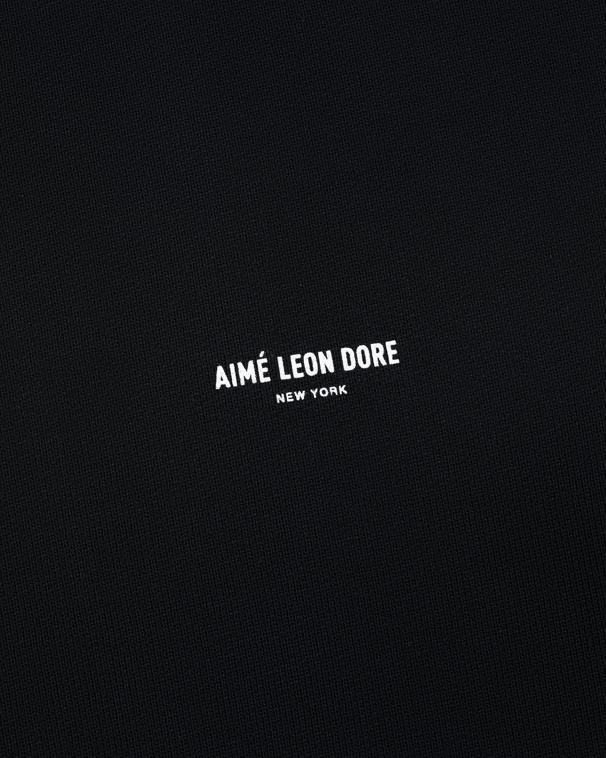 Micro Logo Hoodie - Aimé Leon Dore Clothing