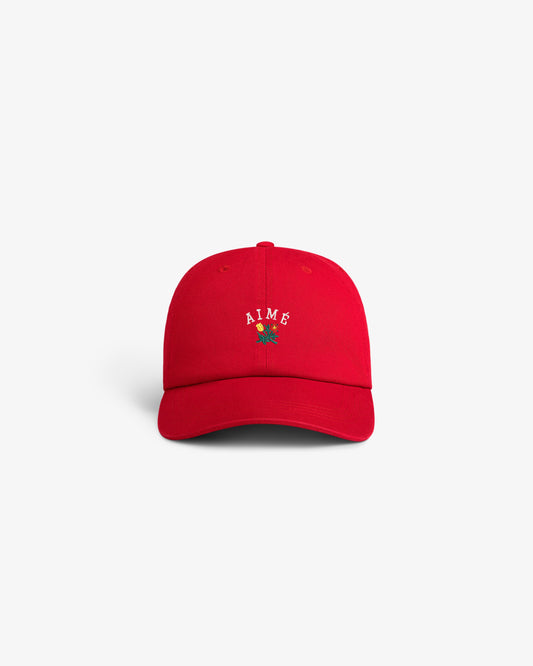 Crest Logo Hat - Aimé Leon Dore Headwear