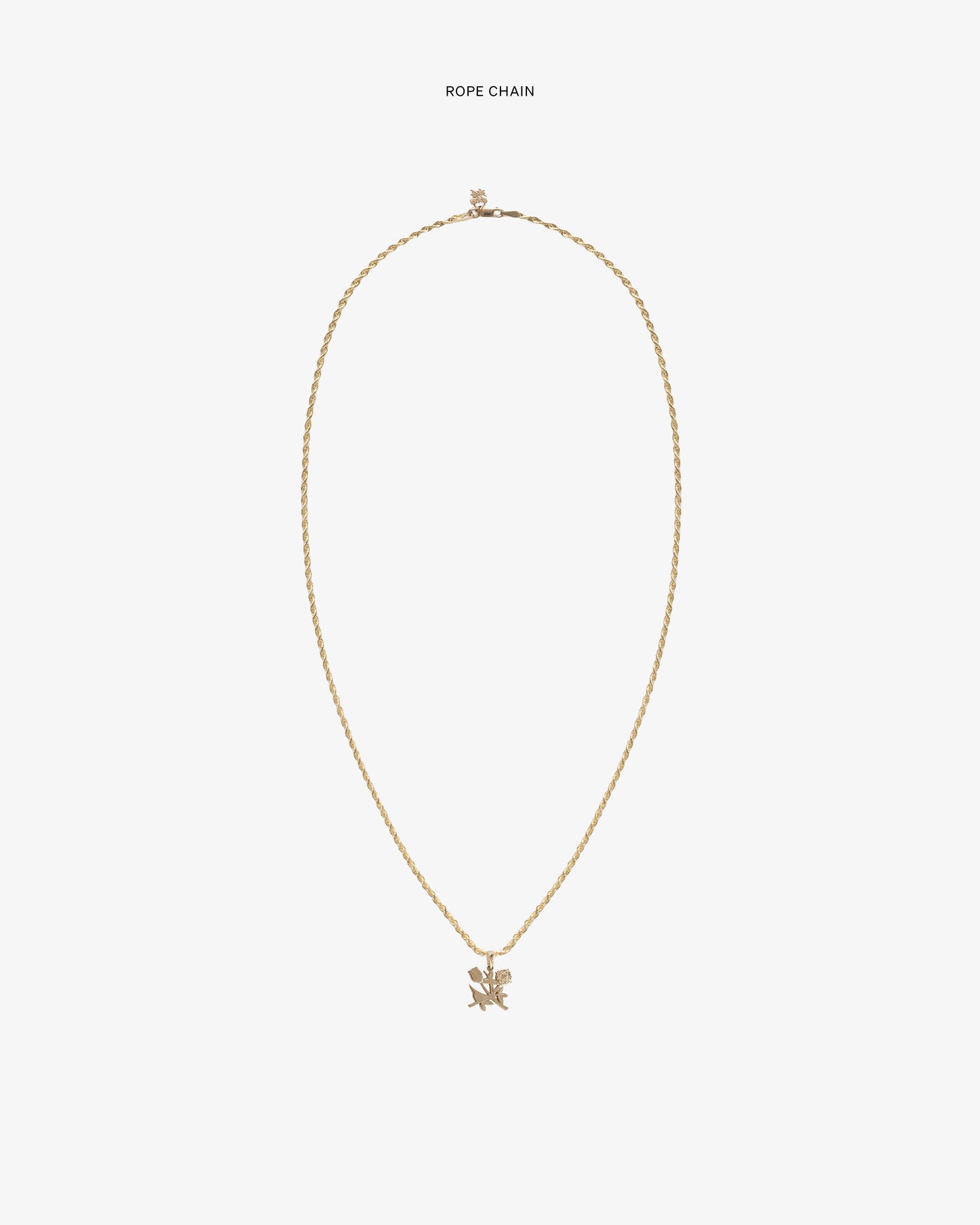 14Kt Gold Pendant - Aimé Leon Dore Jewelry
