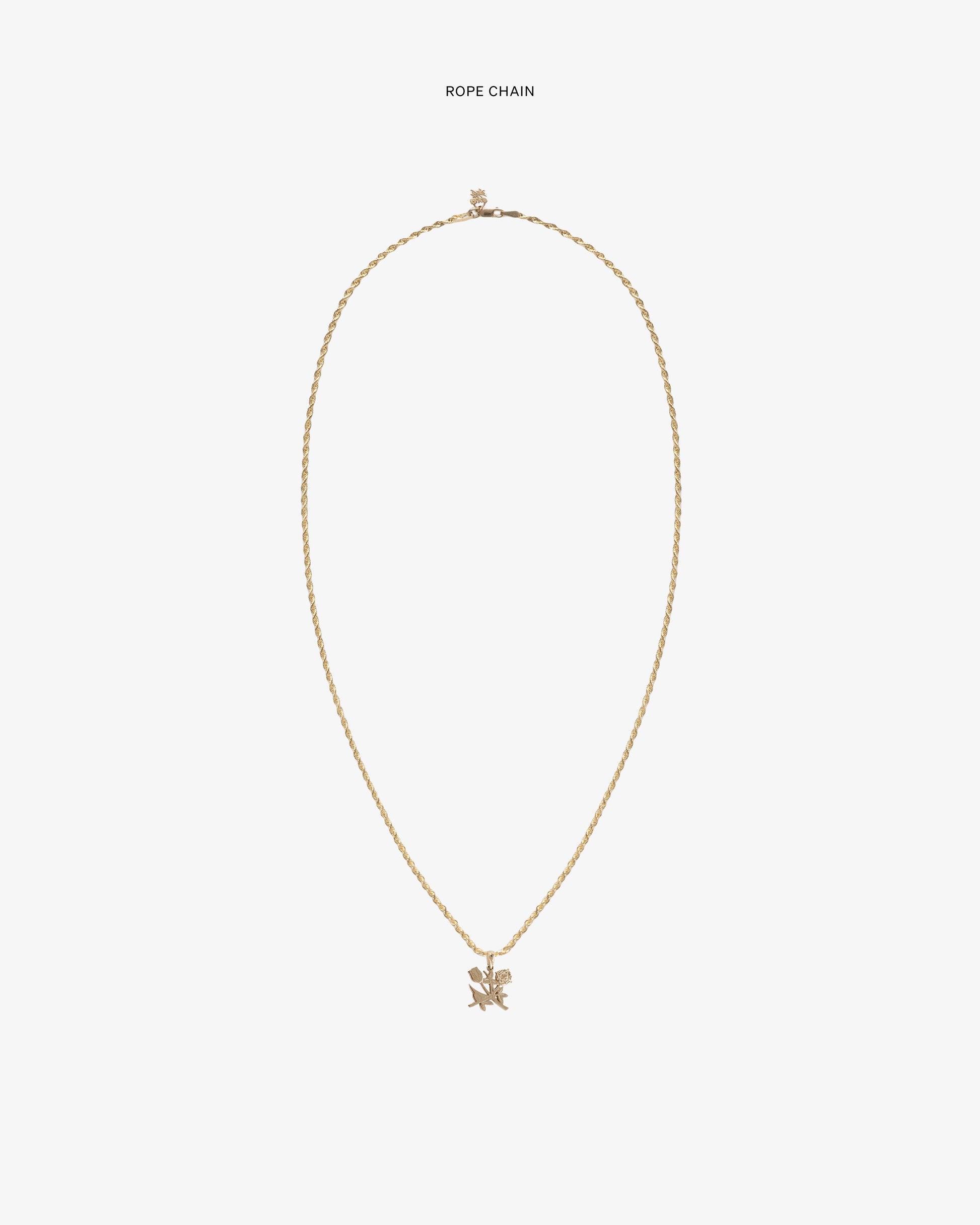 14Kt Gold Pendant - Aimé Leon Dore Jewelry