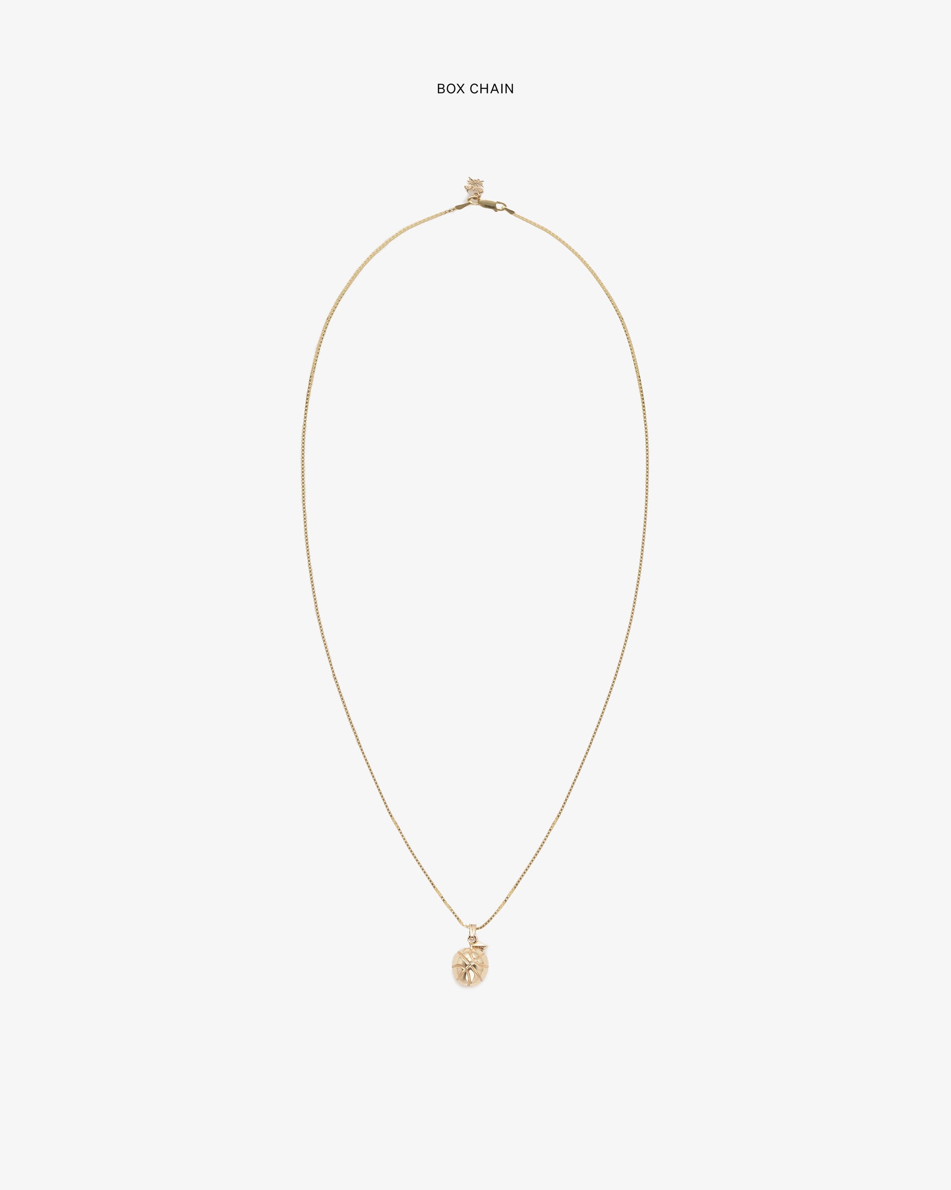 14Kt Sonny Apple Pendant - Aimé Leon Dore Jewelry